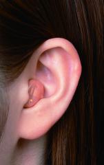 耳 が ガサガサ 聞こえる 耳の中で聞こえる音は耳鳴り 耳の中の異音の原因とは Amp Petmd Com